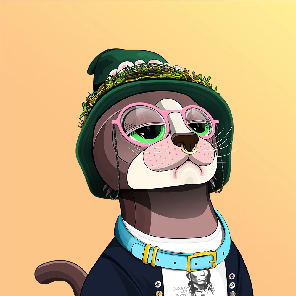 CoinMarketCat