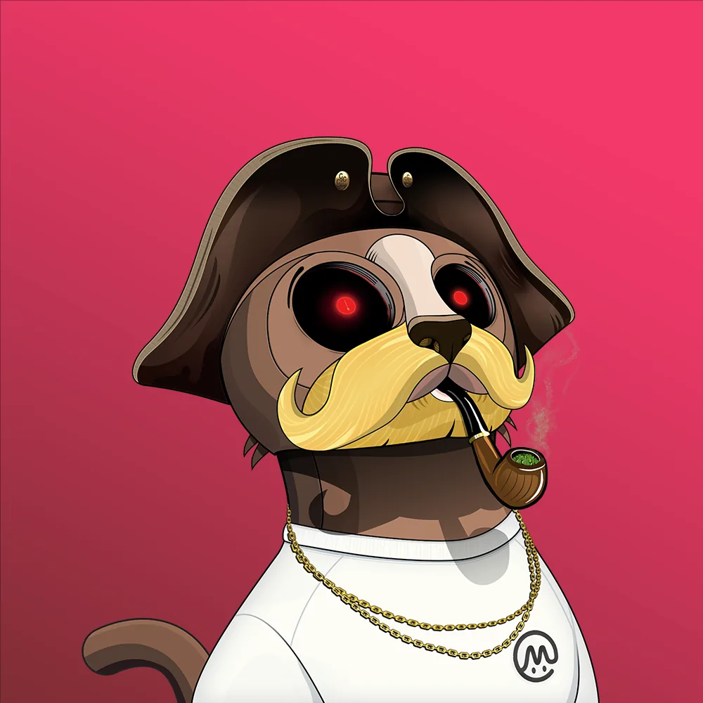 CoinMarketCat