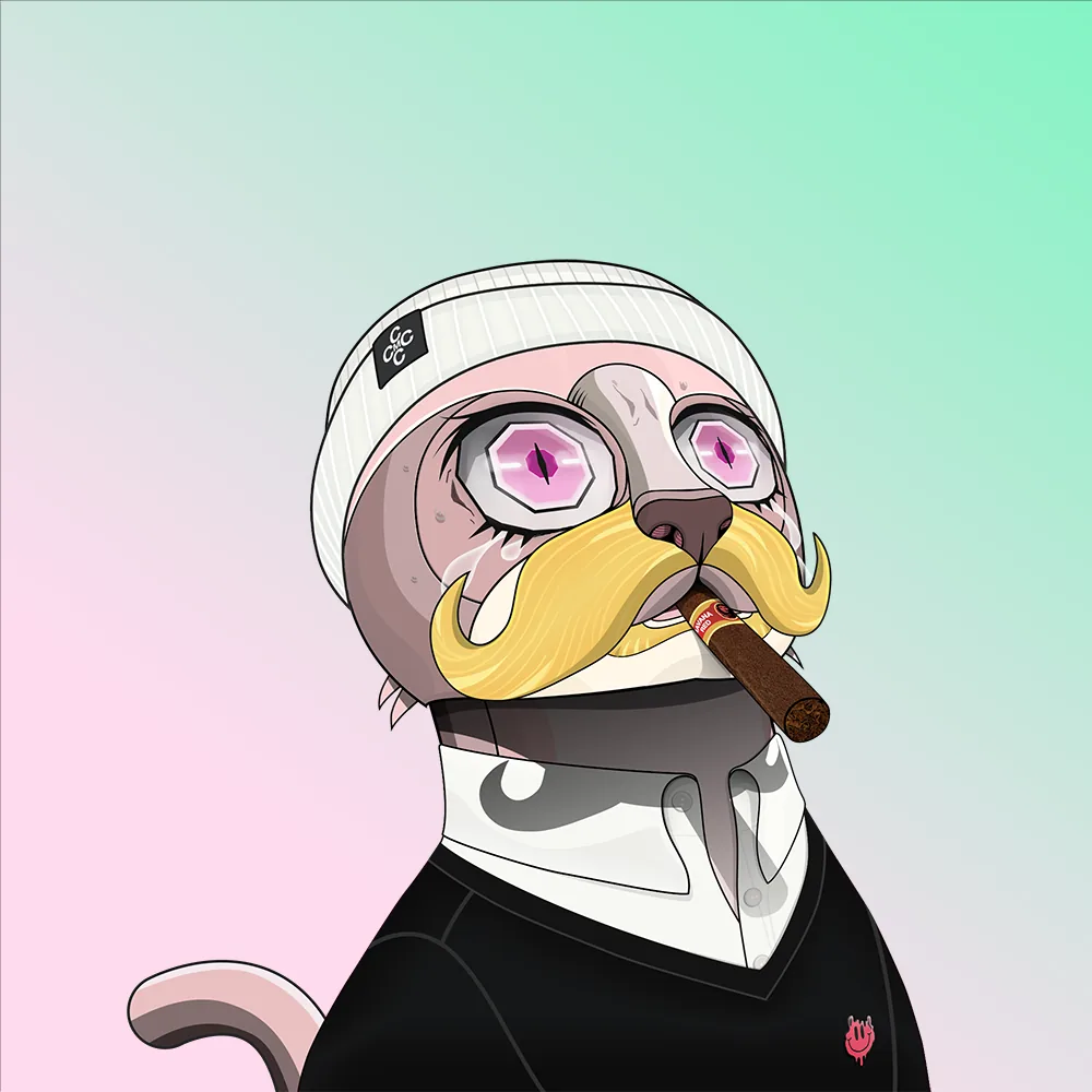 CoinMarketCat