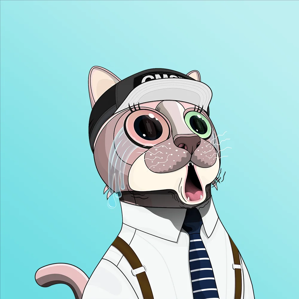 CoinMarketCat