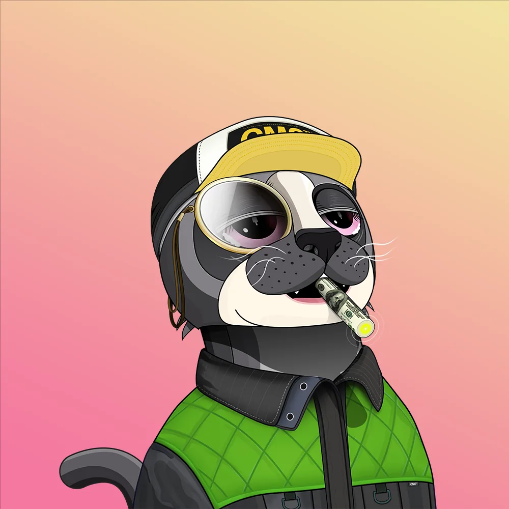 CoinMarketCat