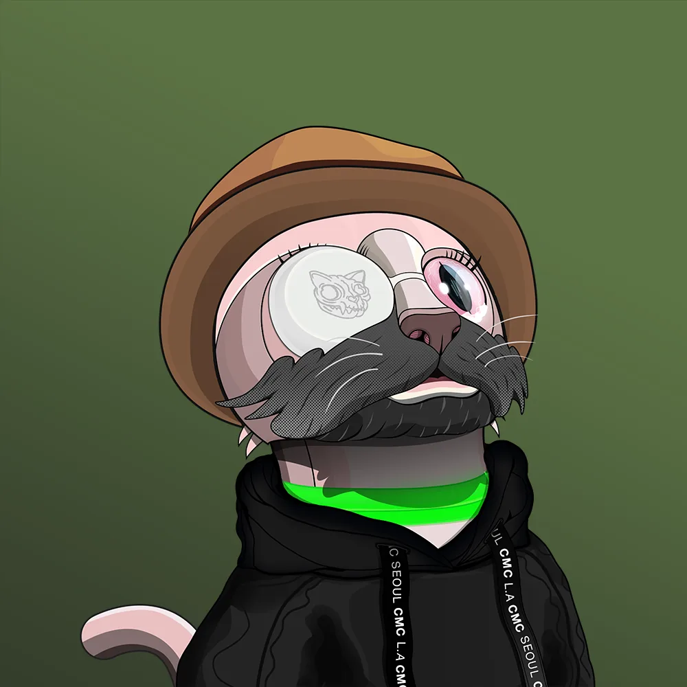 CoinMarketCat