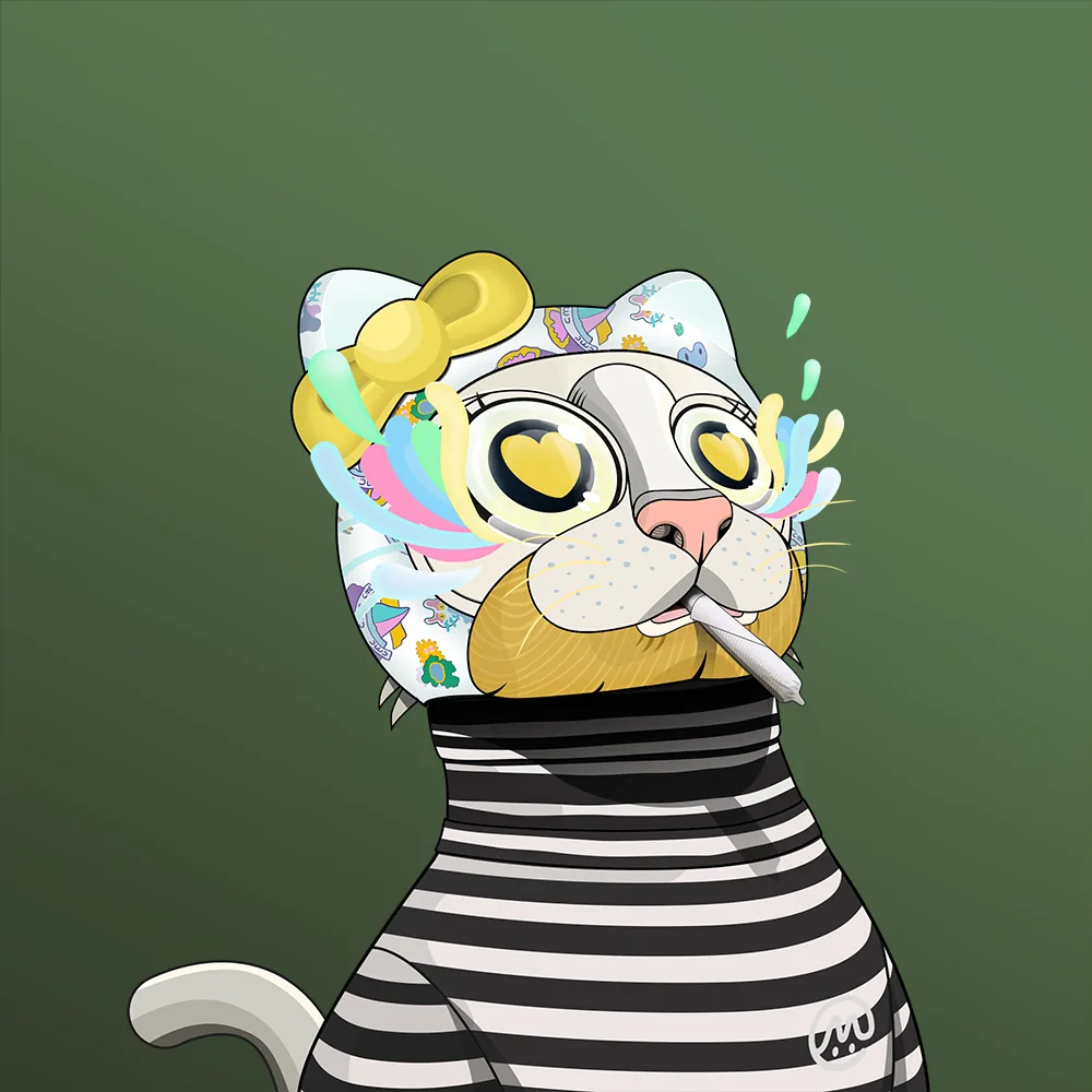 CoinMarketCat