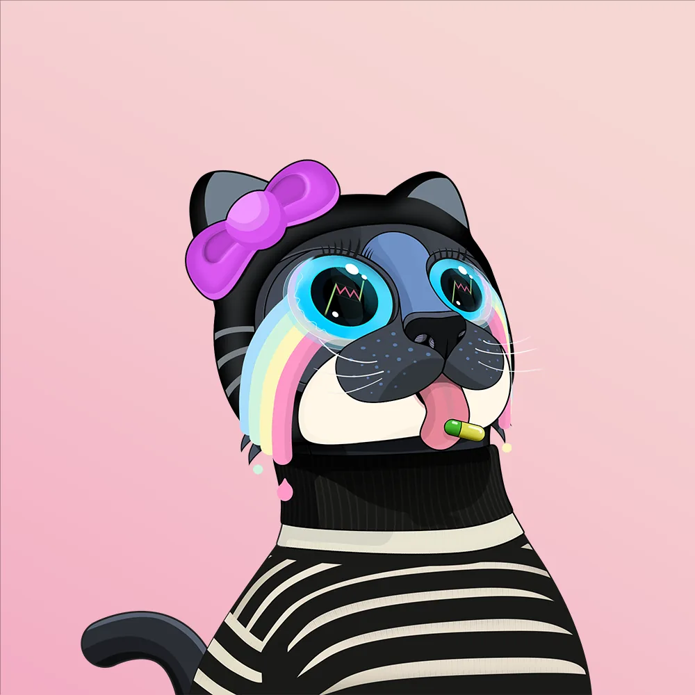 CoinMarketCat