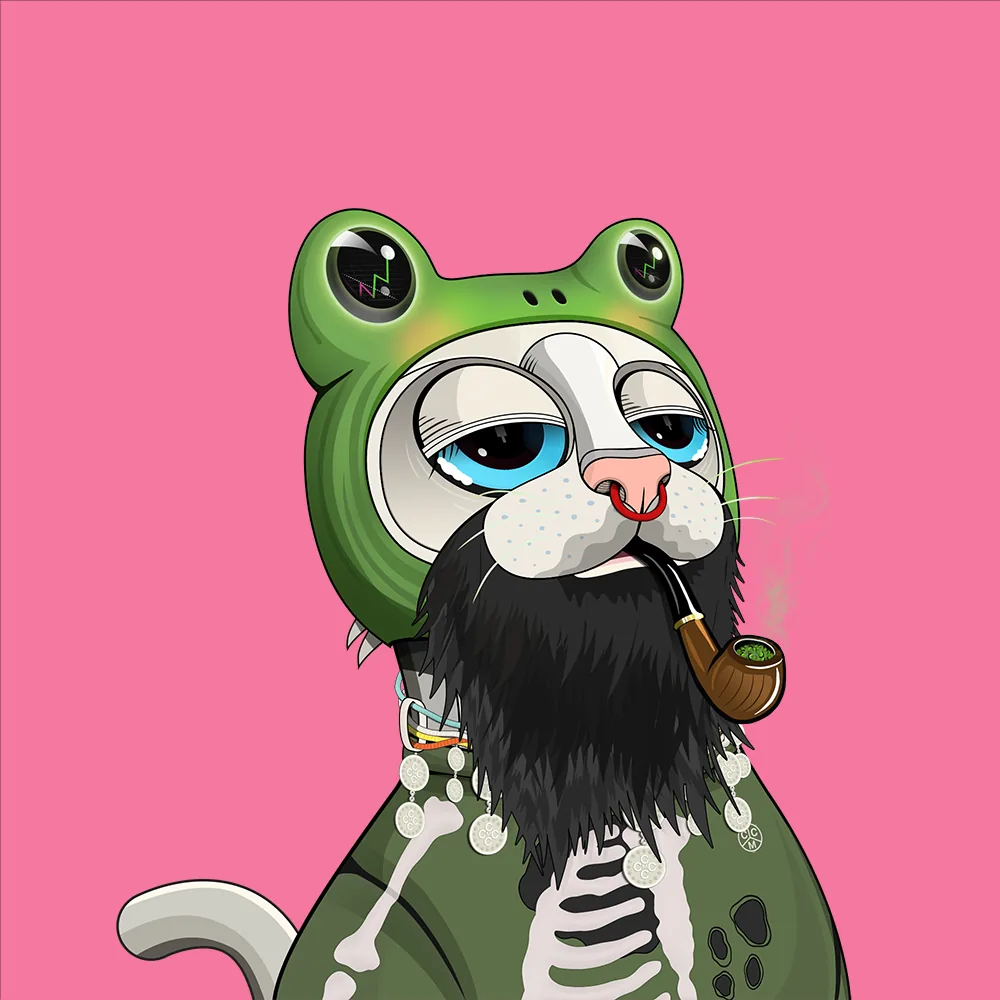 CoinMarketCat